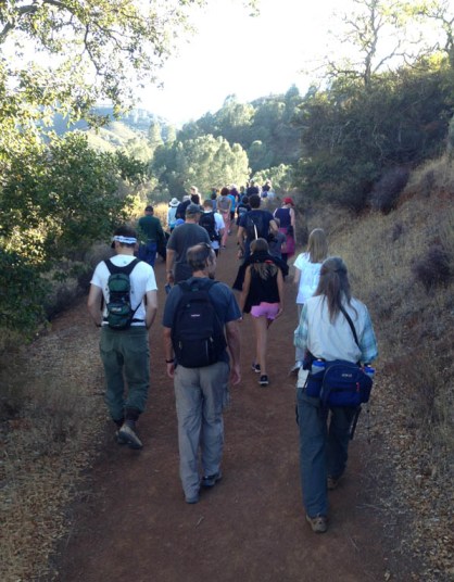 We hike Mount Diablo in search of tarantulas...