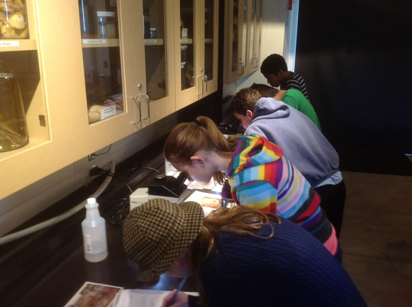 parasitology station